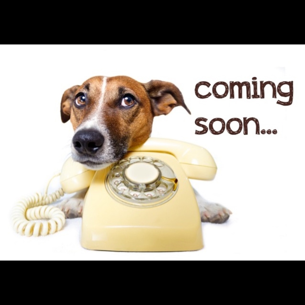 More Items Coming soon! Keep checking back! 🐶🐾❤️